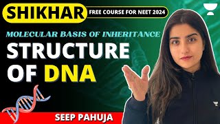 Structure of DNA  Molecular Basis of Inheritance  NEET 2024  Seep Pahuja [upl. by Cliff996]