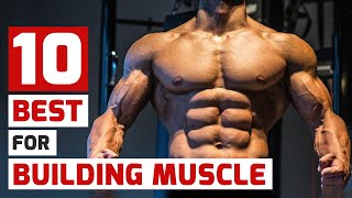 Top Trainers Agree These Are the 10 Best MuscleBuilding Exercises [upl. by Grishilde158]