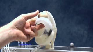 A novel type of compliant underactuated robotic hand for dexterous grasping 1 [upl. by Naesar27]