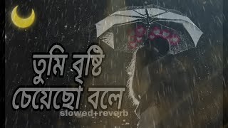 Tumi Bristi Cheyecho Bole   তুমি বৃষ্টি চেয়েছো বলে   Mahtim sakib  New Lyrical Song 2024 [upl. by Nnylyrehc]