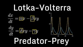 PredatorPrey Model LotkaVolterra [upl. by Avah]