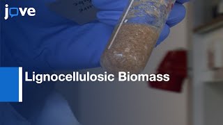 Lignocellulosic Biomass Pretreatment with Ionic Liquids  Protocol Preview [upl. by Rodrich658]