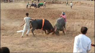 Nepanagar ke surya hele ki takkar bodarli dangal m 🔥😍💯 [upl. by Feinberg78]