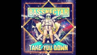 Bassnectar  Colorstorm [upl. by Arul]