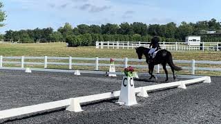 Margret amp Stilts Third Level Test 1  Loch Moy Farm USDF [upl. by Vincenta]