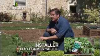 Calendrier du jardinier mai  que faire au jardin ou sur la terrasse  Truffaut [upl. by Shanahan]