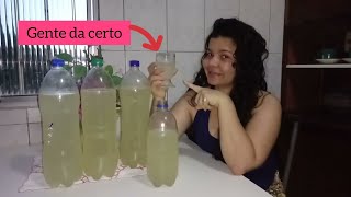 Como fazer refrigerante caseiro de limÃ£o DIY [upl. by Hairaza]