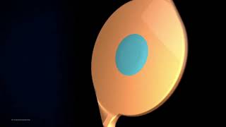 Wavefrontshaping presbyopiacorrecting intraocular lens  Supplementary video ID 400083 [upl. by Christabella853]