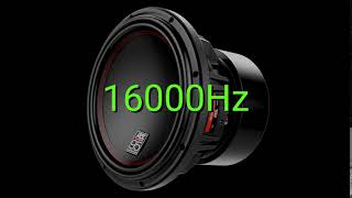 Tone frequency 16000Hz Test your hearing speakersheadphonessubwoofer [upl. by Nagear45]