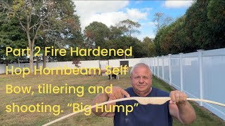 Part 2 Fire Hardened Hop Hornbeam Self Bow tillering and shooting “Big Hump” by Joe Zummo [upl. by Griffith]