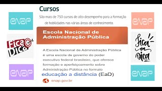 Cursos online GRATUITOS da enap Escola Nacional de Administração Pública escola virtual [upl. by Dickey97]