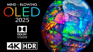 MINDBLOWING 2025 OLED 😮 4K 60fps HDR Dolby Vision  4K Video [upl. by Sirap]