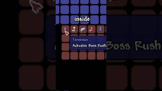 The Reward for Terraria Calamitys BOSS RUSH MODE terraria shorts [upl. by Divad]