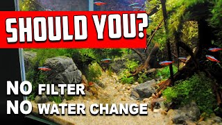 Why No Filter No Water Change Aquariums Are NOT For Everyone [upl. by Fulton539]