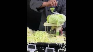 Multifunctional Slicer Chopper Household Shredded Potatoes Slicer And Grater [upl. by Imefulo331]