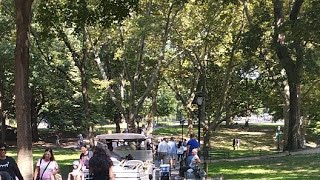 New York central park da sohbet [upl. by Goren]