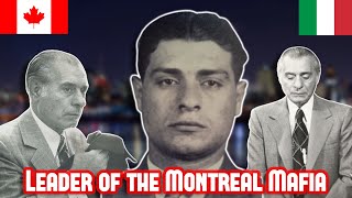 Vincenzo Cotroni The Godfather Of Montreal Montreal Mafia [upl. by Reppep]