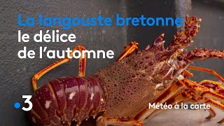 La langouste bretonne le délice de lautomne  Météo à la carte [upl. by Liuqnoj]