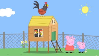 Peppa Pig Nederlands  Kippen  Tekenfilms voor kinderen [upl. by Nairde]