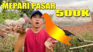 UNBESEK MERPATI PASAR LASUNG TEST TERBANG [upl. by Ramalahs]