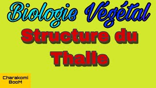 Cours Biologies Végétal  Structure du Thalle  💯validé ✅ [upl. by Ekard]