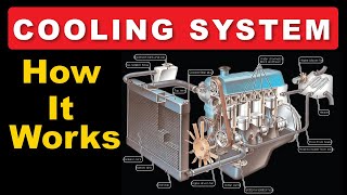 How Car Engine Cooling System Works [upl. by Annanhoj]