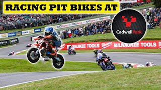 Racing A Pit Bike At Cadwell Park   The British Supermoto Championship  pitbikesupermoto [upl. by Ttenrag711]