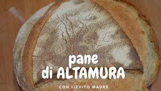 Pane di Altamura DOP fatto in casa [upl. by Dusa172]