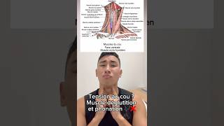 Tension au cou  Voici comment relâcher les muscles de déglutition et phonation 🎶❌ Relaxation cou [upl. by Naeerb126]