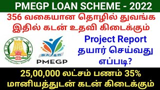 PMEGP Loan Scheme Eligible Business 2022  PMEGP loan project report  PMEGP loan apply online [upl. by Leoj]