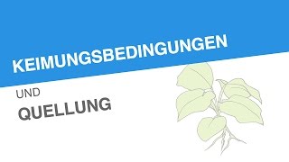 KEIMUNGSBEDINGUNGEN UND QUELLUNG  Biologie  Biologie der Pflanzen und Pilze Mittelstufe [upl. by Enneibaf]