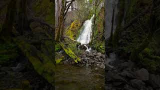 Glimpsing a waterfall tucked behind the trees framed by the serene flow of the river 😍 nature [upl. by Nirmak835]