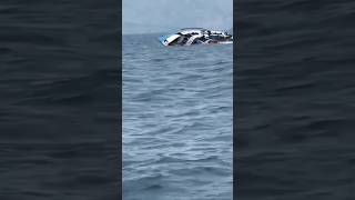 Boat accident breakingnews congogoaboataccident goaaccident latestnews tragedy [upl. by Sheppard]