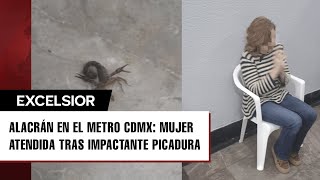 Mujer es picada por alacrán mientras estaba en el Metro de CDMX [upl. by Aiyot13]