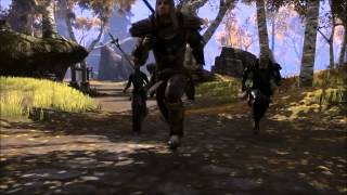 The Elder Scrolls Online  Trailer HD E3 2013 [upl. by Marline30]