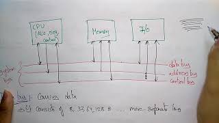 bus architecture in computer organization [upl. by Adirehs957]