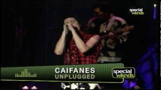 Caifanes  El Animal Unplugged Mtv [upl. by Nytsua]