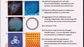 Mod03 Lec21 Self Assembly of Nanostructures  I [upl. by Nnylrebma]