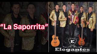 LOS ELEGANTES De la Sierra  La Saporrita en vivo [upl. by Noived]