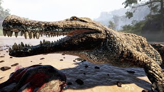 🔴LIVE  The Saltwater Alligator [upl. by Dami]