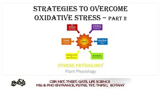 Strategies to overcome Oxidative stress in plants part 2 Tamil CSIR NET TNSET GATE  PGTRB [upl. by Pardner817]