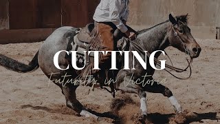 Victoria Cutting Futurity  Day 1 Highlights [upl. by Wehhtam]