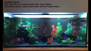 New 300L90G Fish Tank setup [upl. by Rogerson732]