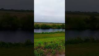 Some local Okeechobee wildlife on the lost trail nature hiking funny [upl. by Akirre778]