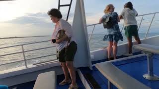 Tybee Island DolphinWatch [upl. by Anirehc594]