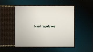 Nyúl raguleves [upl. by Billmyre737]