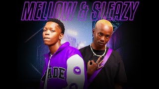 Mellow amp Sleazy  ZiyaSha Official Audio ft 2woshort  Amapiano [upl. by Airec274]