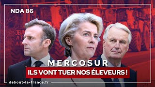 NDA86 · Mercosur  ils vont tuer nos éleveurs [upl. by Landahl]