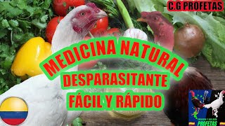 Remedio Casero Muy Efectivo Para Desparasitar Gallos Y Gallinas 100 Natural Prepara Y Dosifica [upl. by Erapsag484]