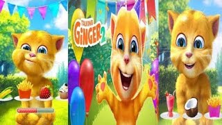 Talking ginger  teethbrush  enjoyment  happy mood  talkingcat  talkingtom [upl. by Phelgon]